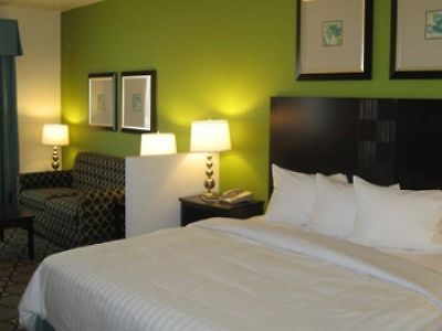 Best Western Douglas Inn & Suites Værelse billede